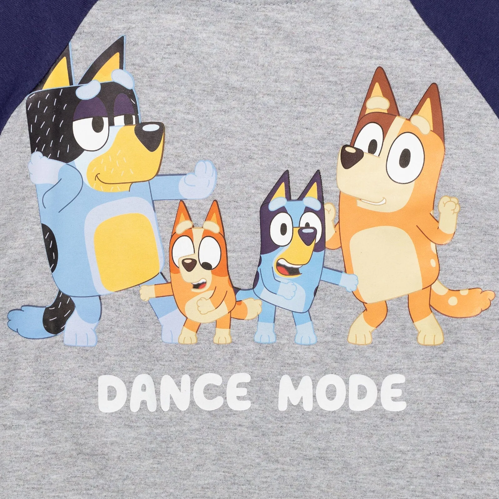 Bluey Matching Family T-Shirt