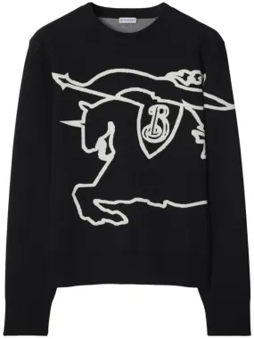 EKD-EMBROIDERED COTTON SWEATSHIRT