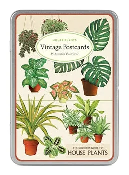  House Plants  Postcards