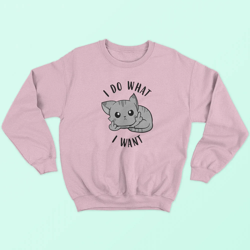 I Do What I Want Sweatshirt