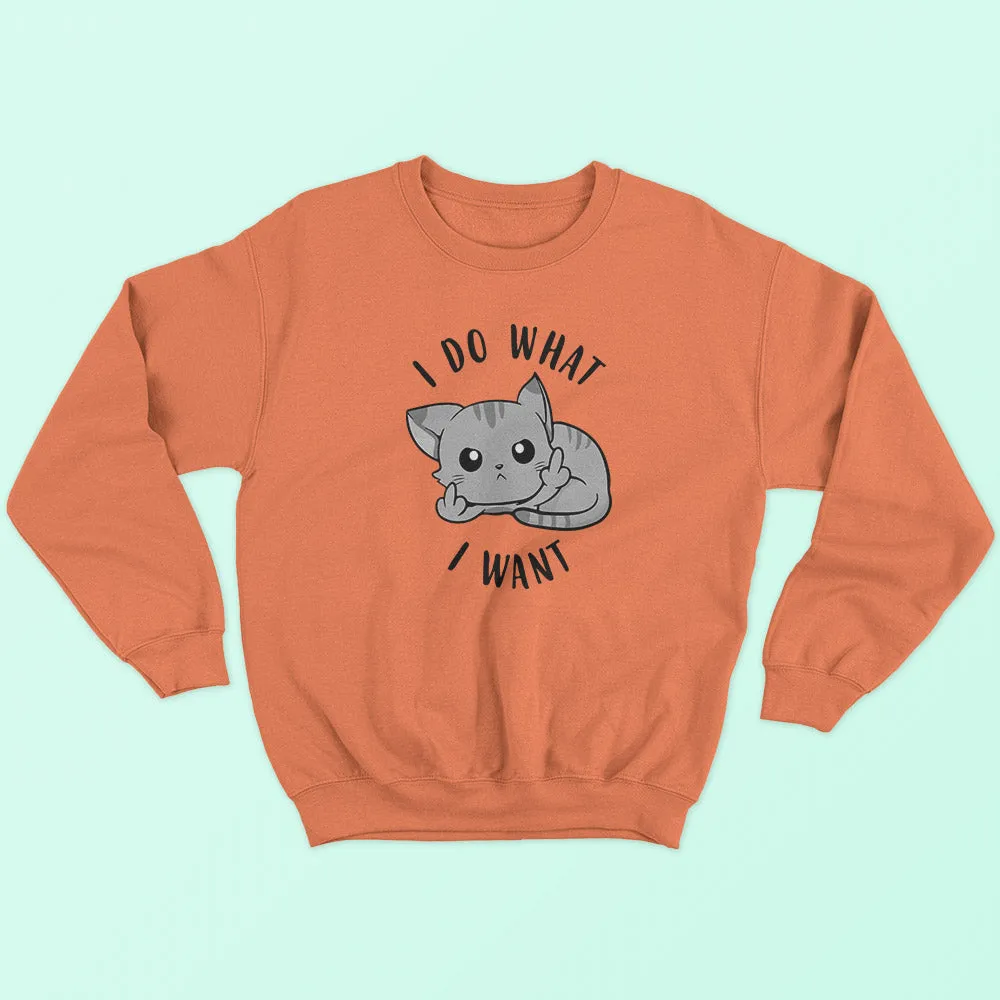 I Do What I Want Sweatshirt