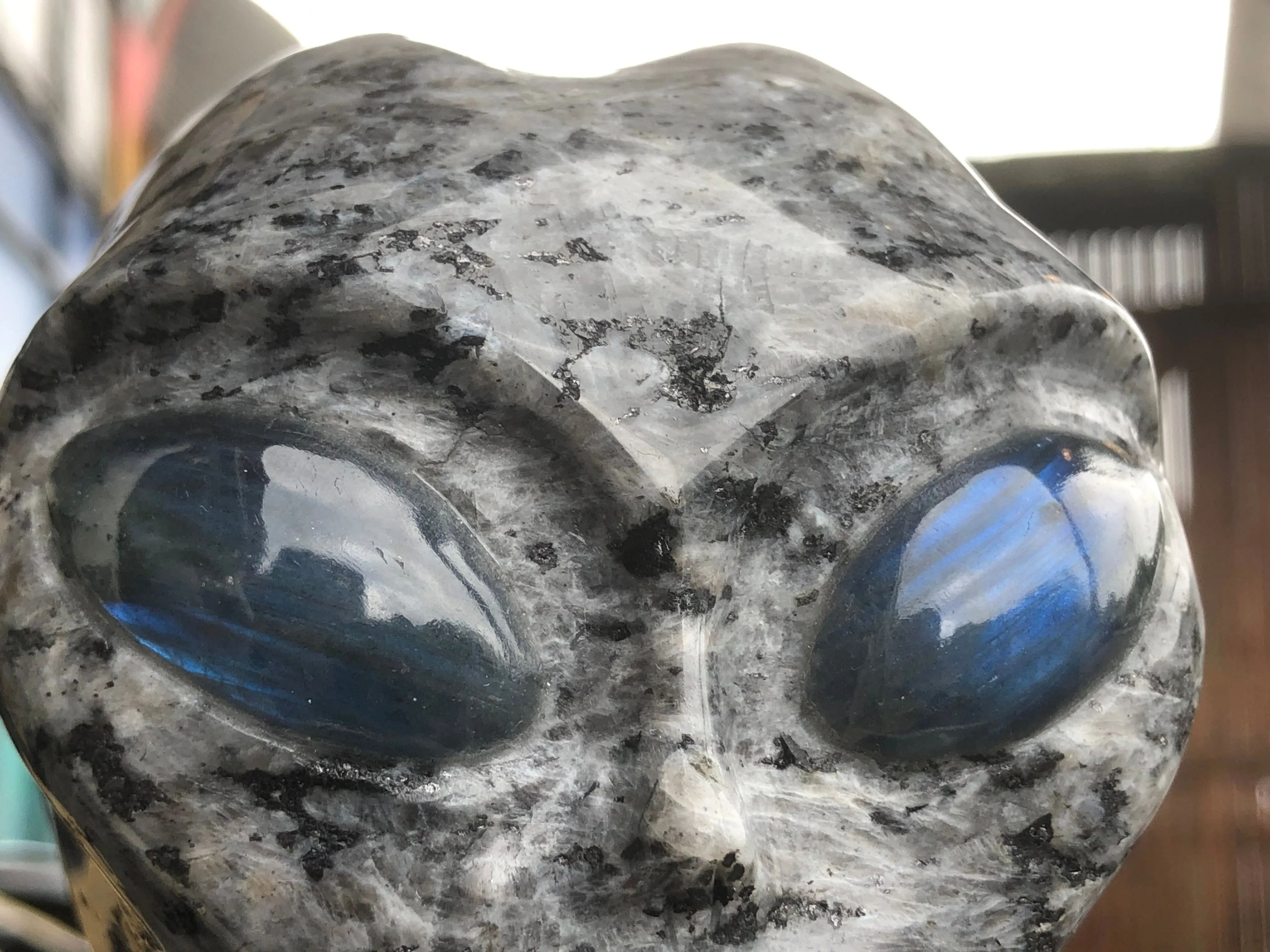 Larvikite Alien with Labradorite Eyes [1k1577]