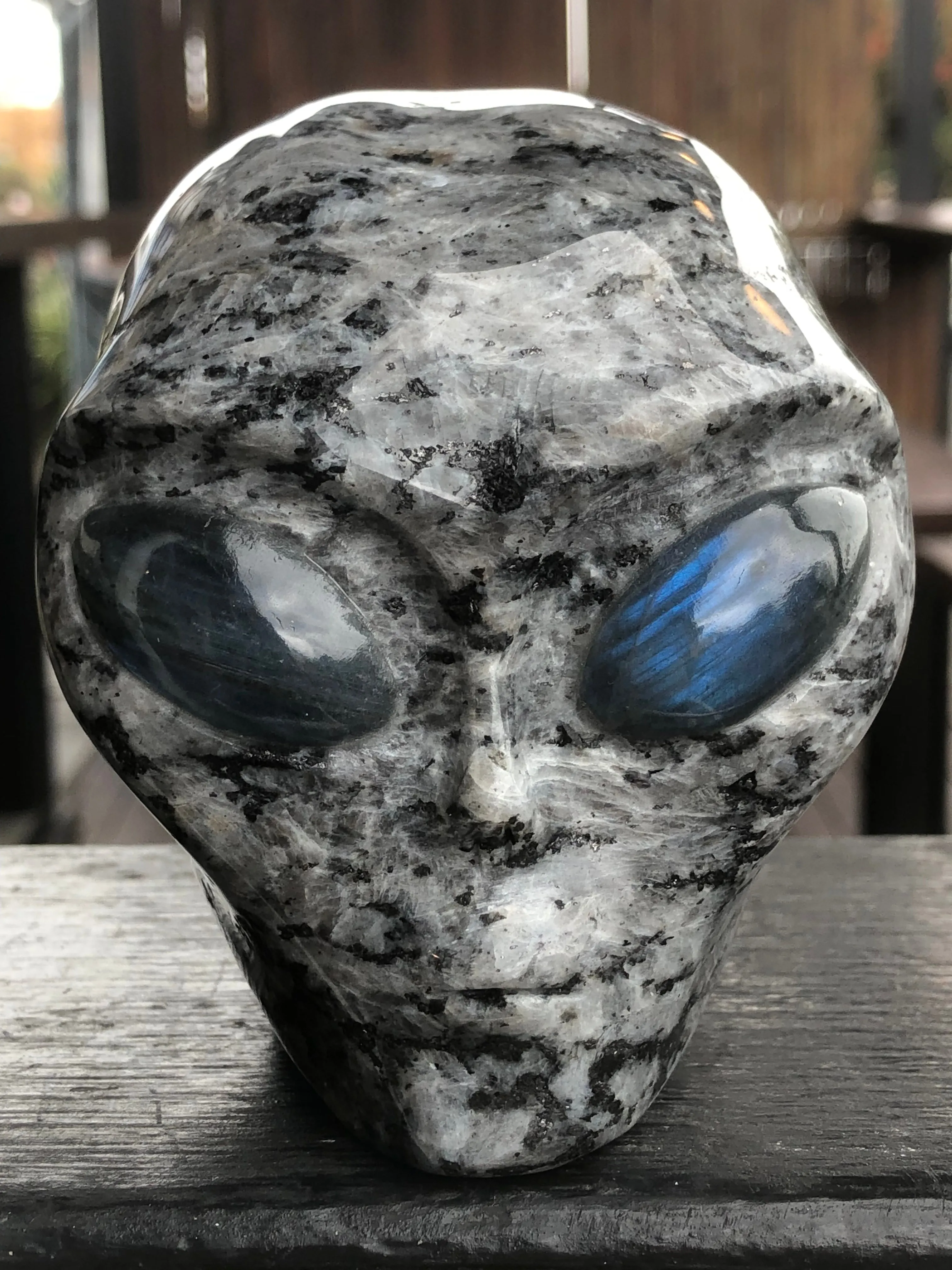 Larvikite Alien with Labradorite Eyes [1k1577]