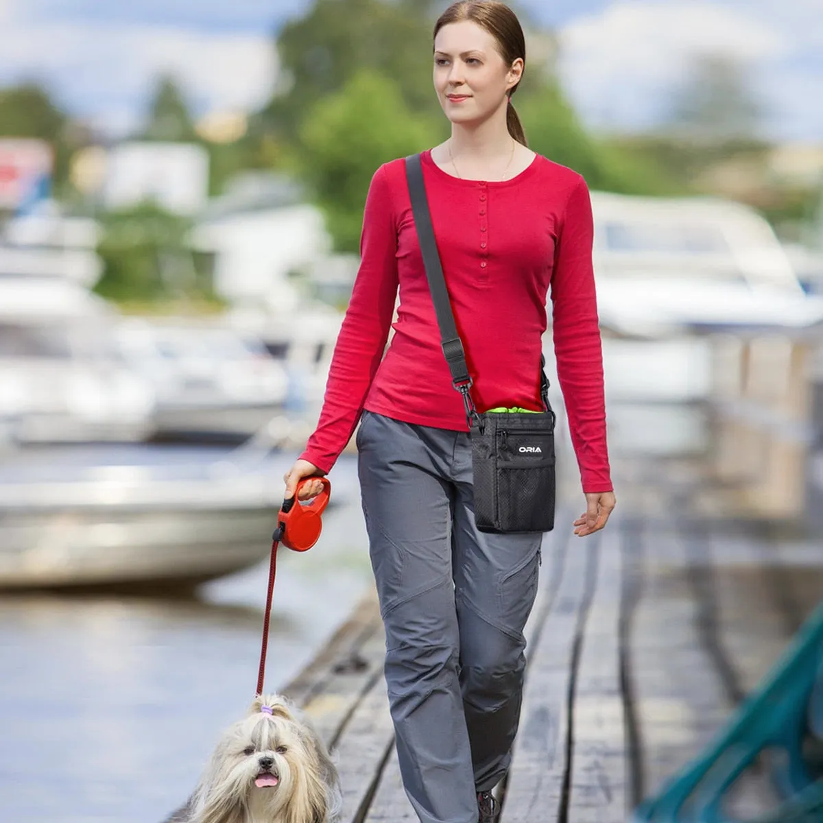 Outdoor Pet Dog Training Pouch / Waist Bag with Adjustable Strap Dog Bowl